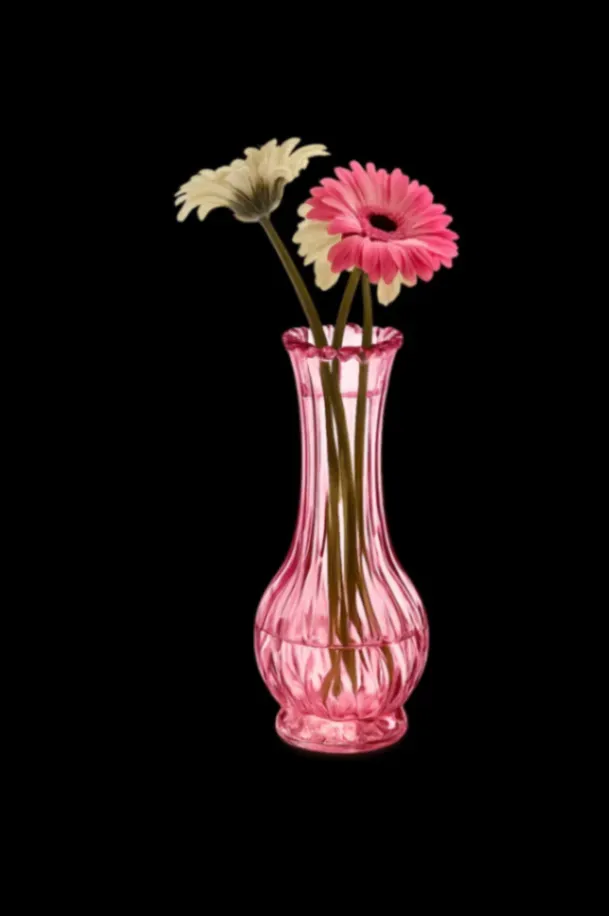 Vase en verre rose nervuré contenant deux gerberas, sur fond noir